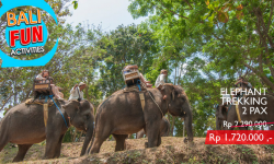 Elephant Trekking 2 Pax